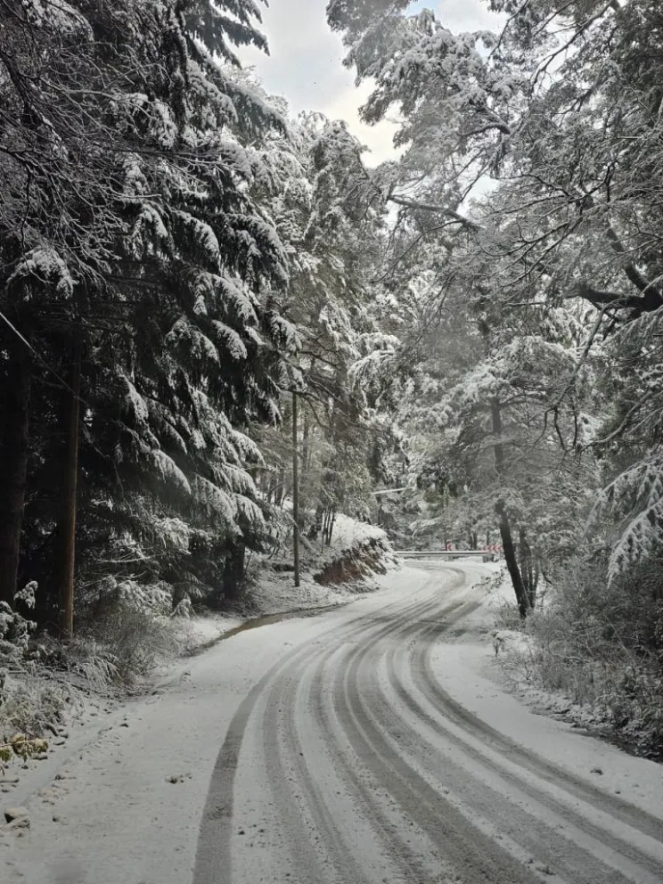 Nahuel Huapi bajo la nieve: una postal soñada para disfrutar con cuidado