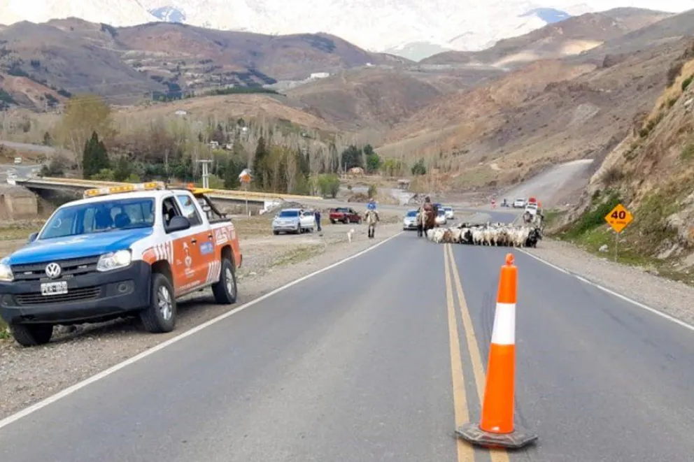Implementarán un operativo Ruta Segura durante el fin de semana largo